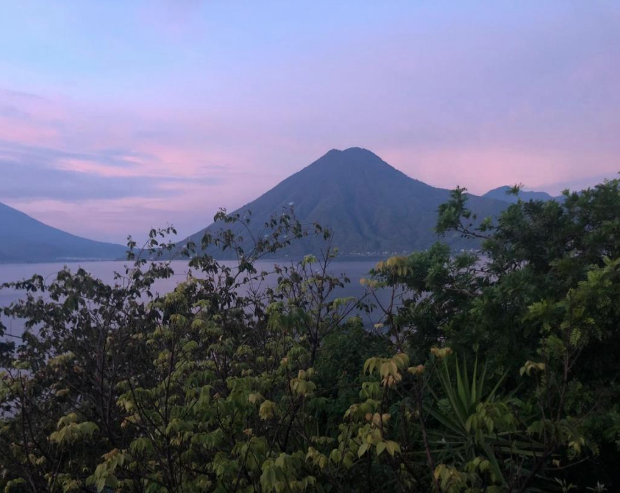 One of the Best in Show: Finca San Jeronimo, Guatemala