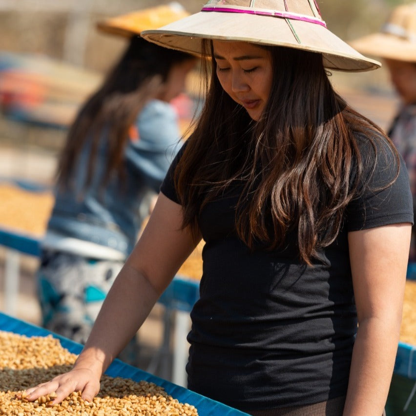 The Lady: A Female Farm to Cup Story