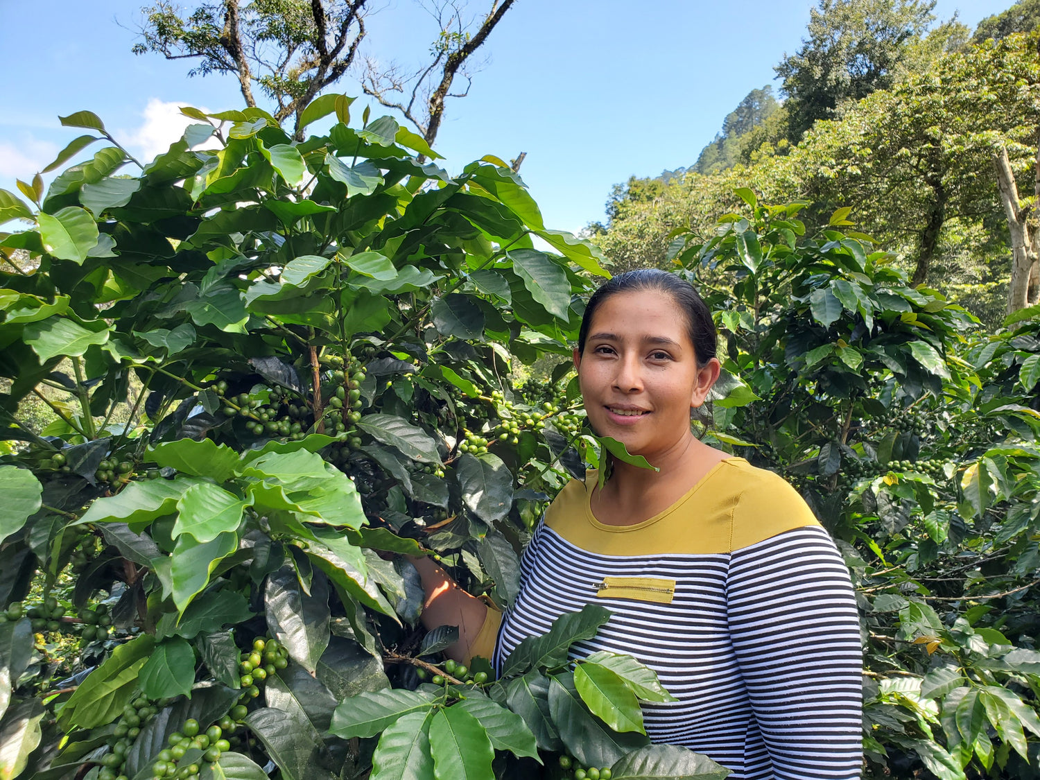 Planeta Verde, Honduras