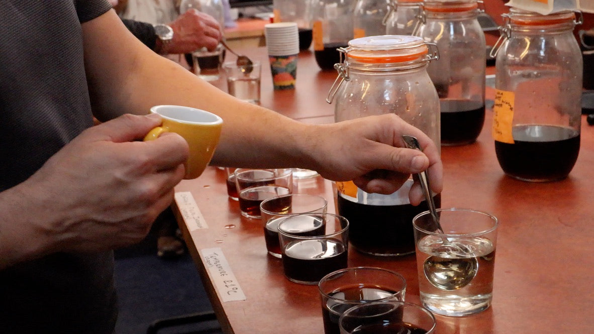 The Nuances of Cold Brew: Notes From Our Cupping Club