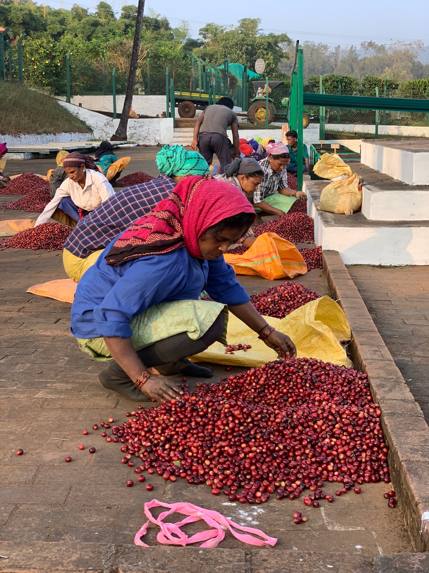 India’s coffee history and culture