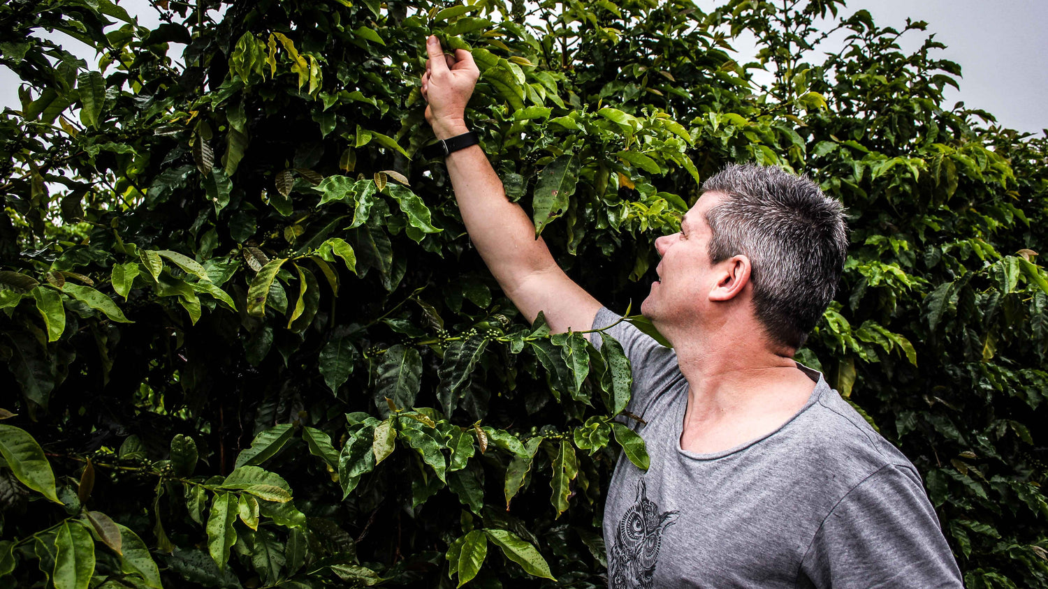Focus on Coffee in Brazil: Our Origin Trip to Daterra Estate