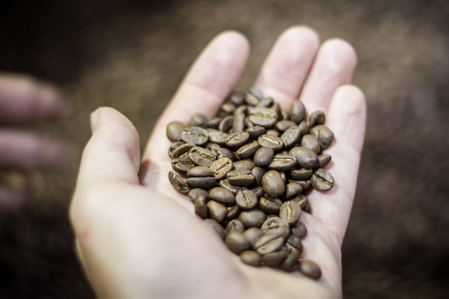 Retail Coffee Prices: Why our Rates are Changing