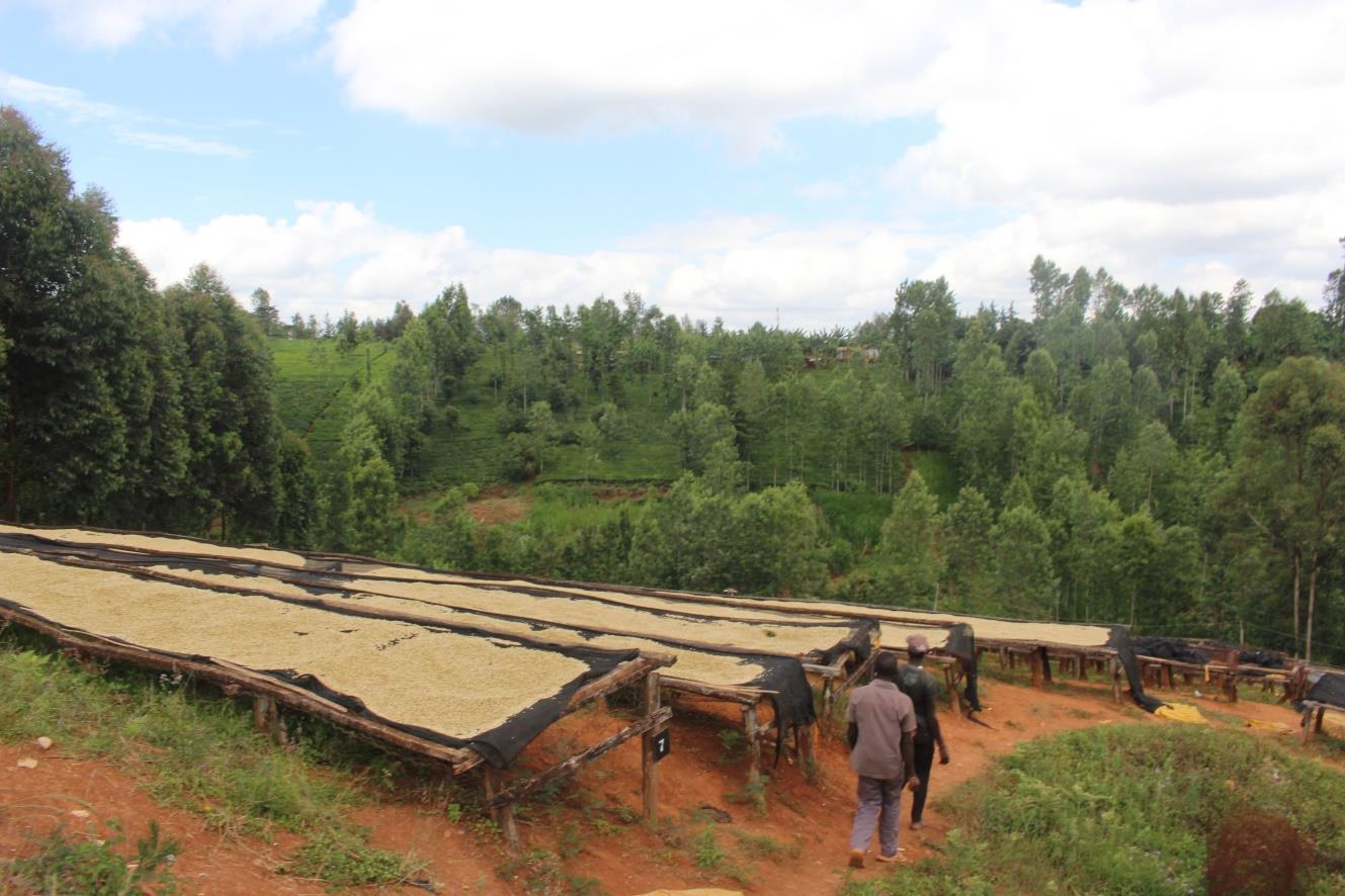 Karinga, Kenya