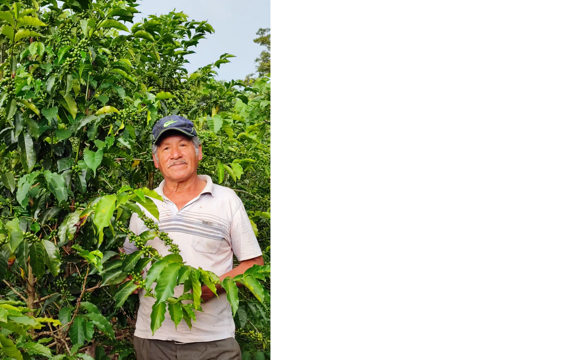 Coffee Farmer: Andre Torres