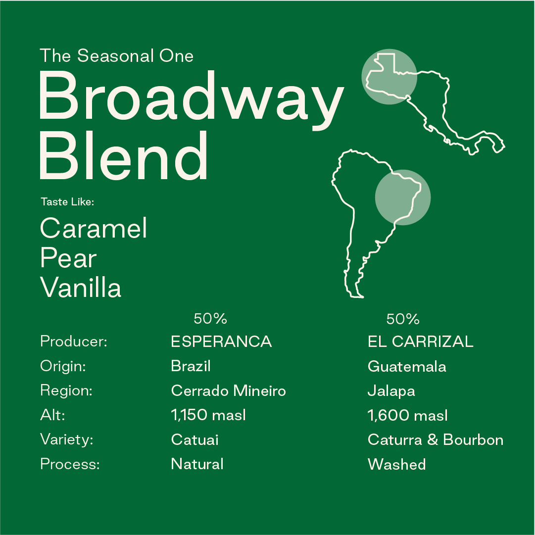 Sampler Pack: Espresso and Blends