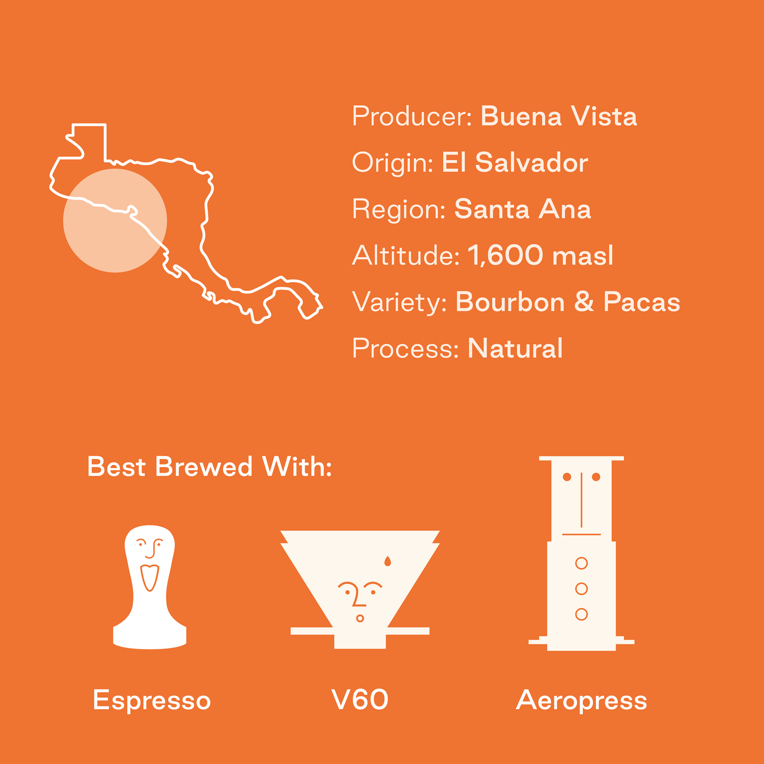 The Fields: Buena Vista, El Salvador - Climpson & Sons