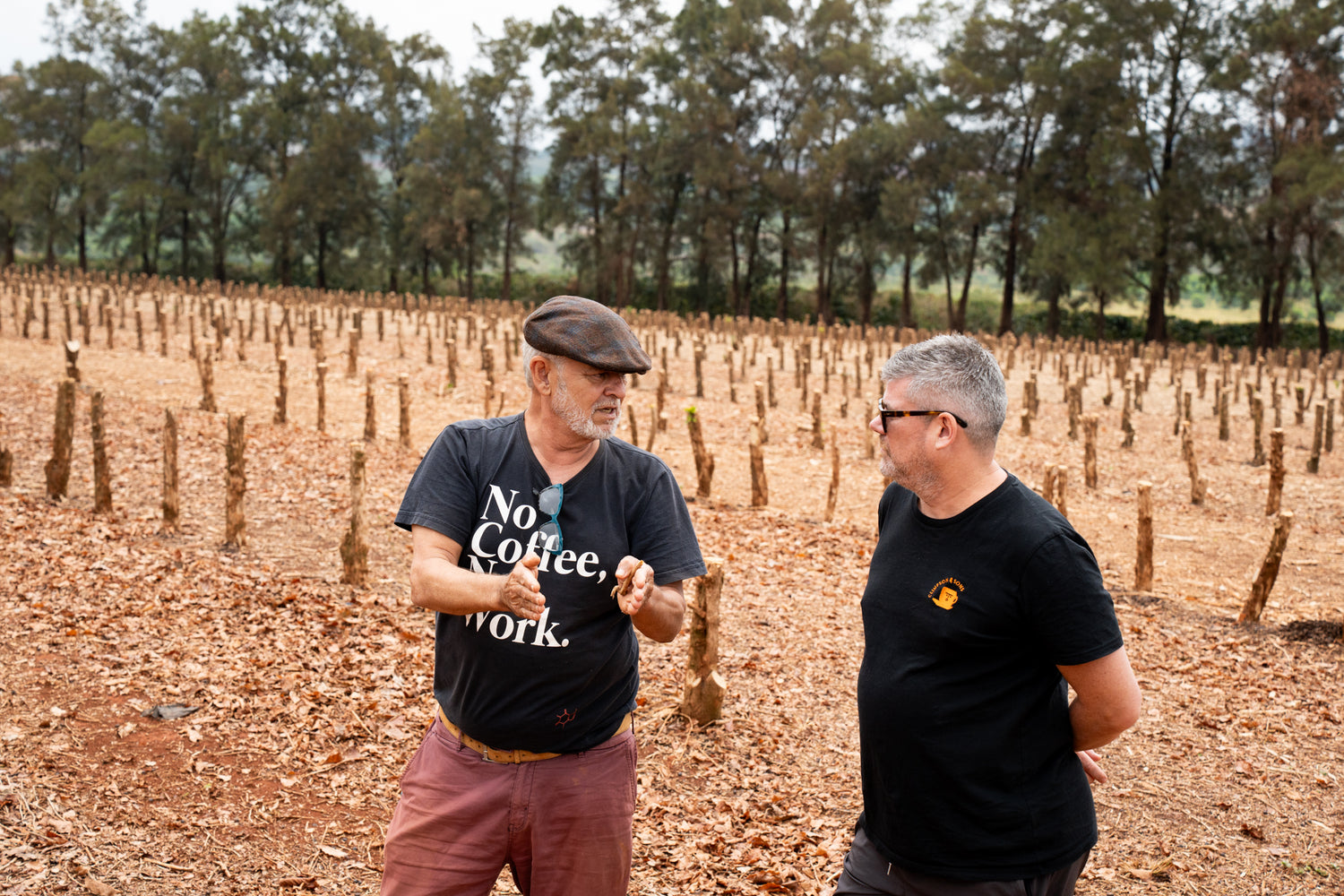 The Baron (Bruno's Pick): Fazenda Inhame, Brazil - Climpson & Sons