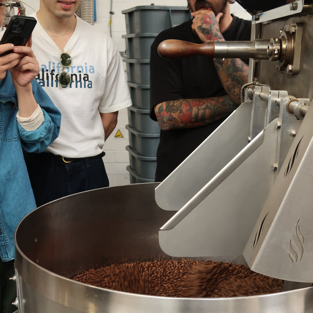 Coffee beans in basin