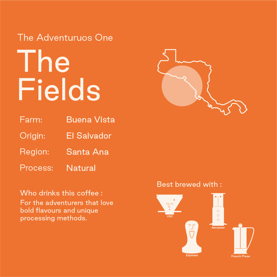The Fields: Buena Vista, El Salvador