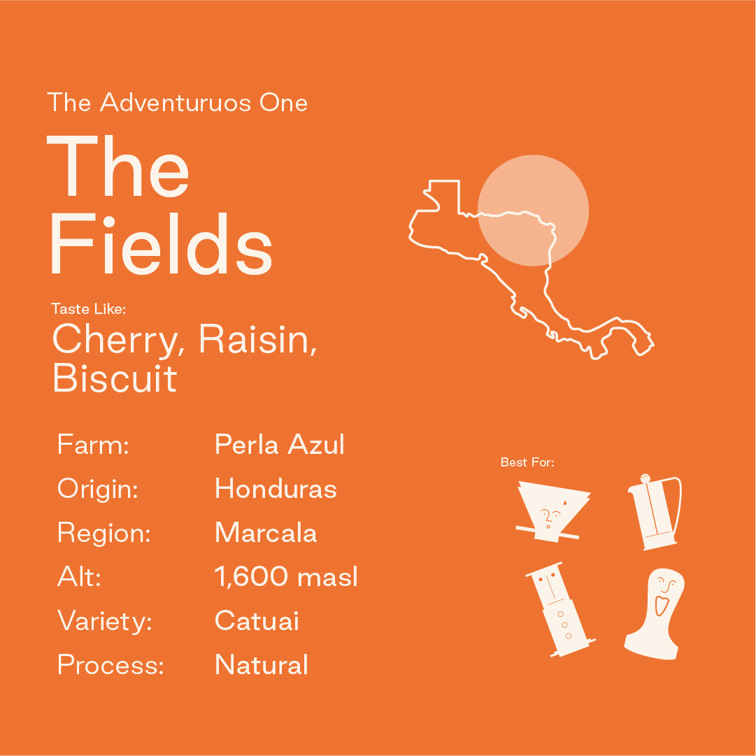The Fields: Perla Azul, Honduras