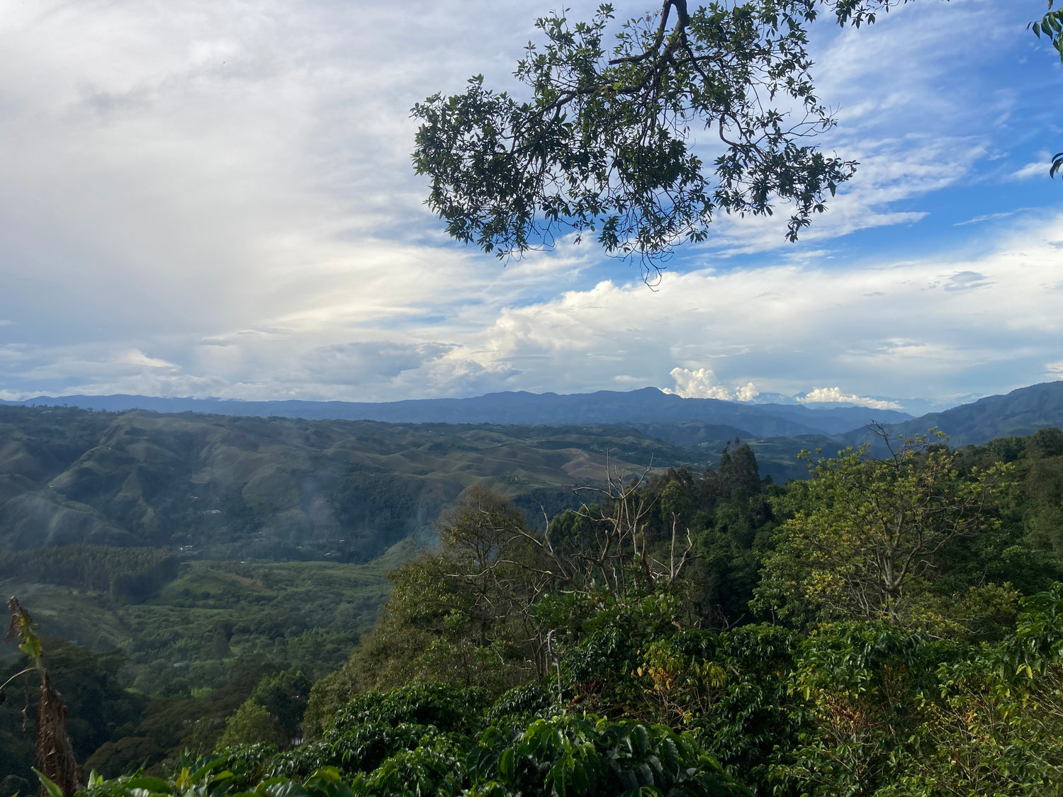 Las Piedras, Colombia