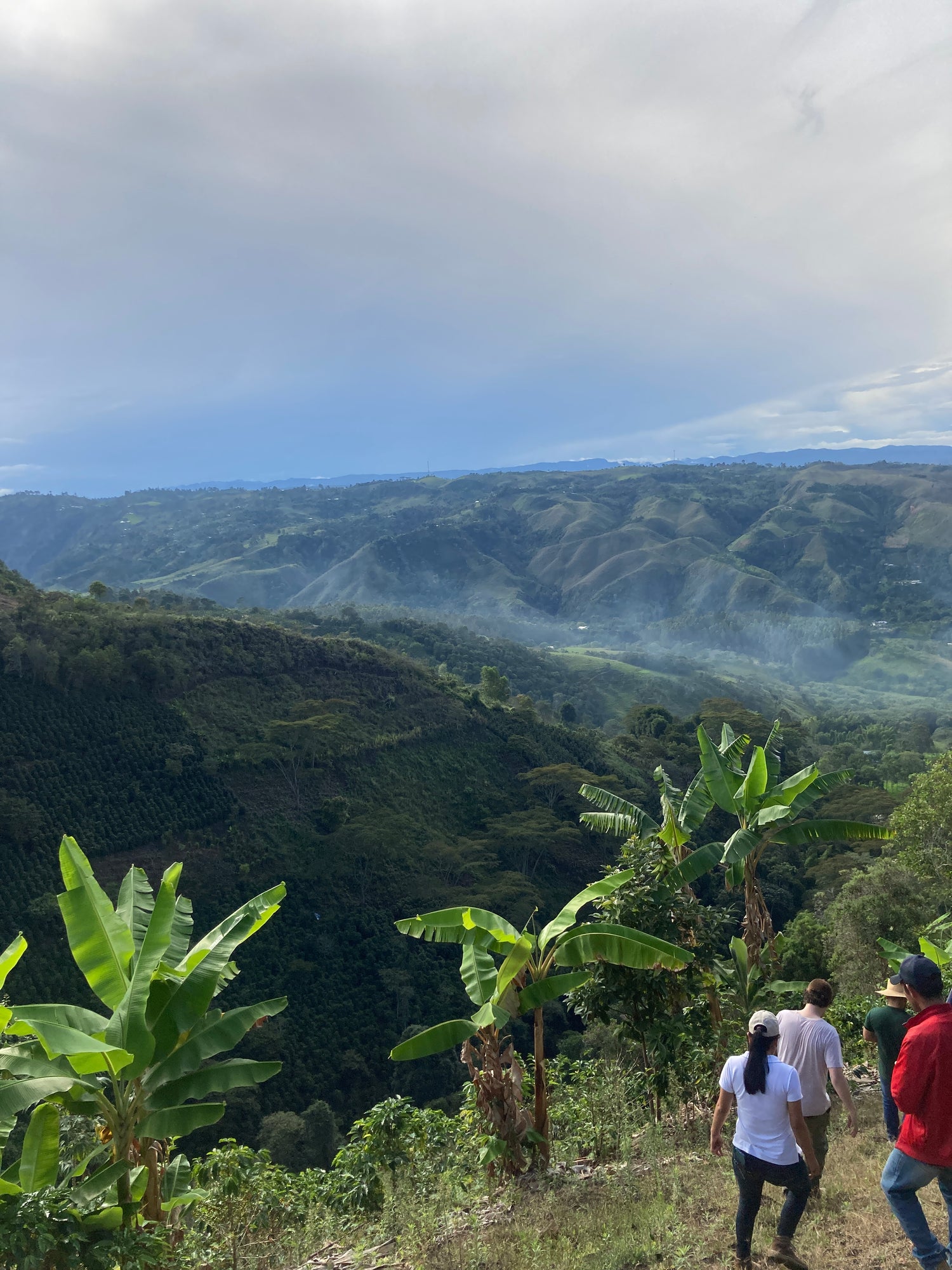 Las Piedras, Colombia