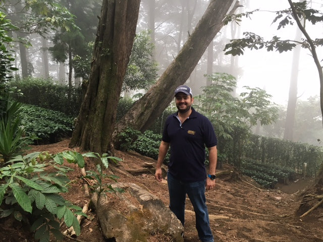 The Fields: Buena Vista, El Salvador - Climpson & Sons
