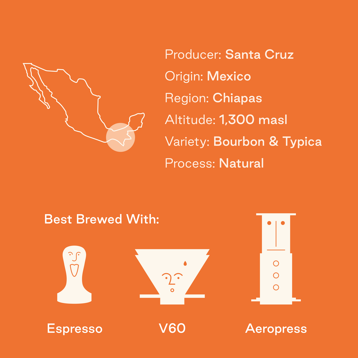 The Fields: Santa Cruz, Mexico