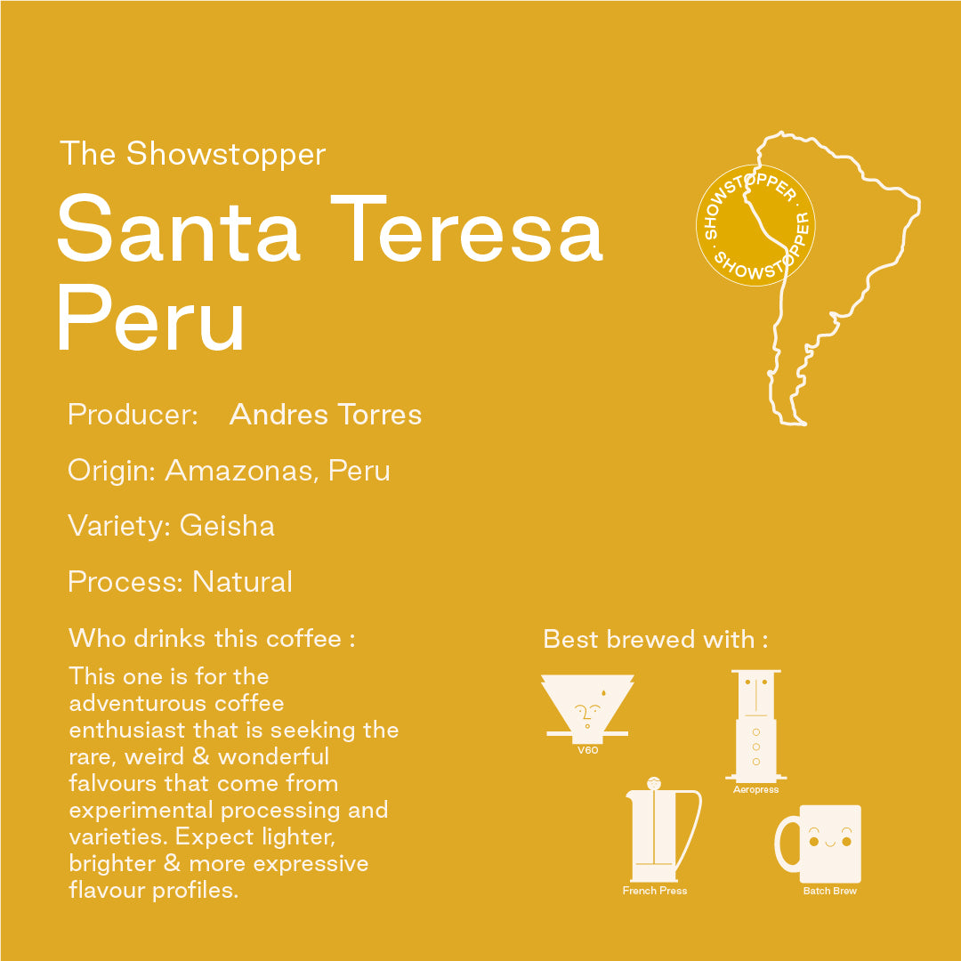Climpson & Sons Showstopper: Santa Teresa, Peru Infocard