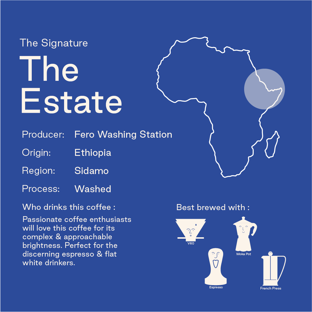 Sampler Pack: Decaf and Recaf - Climpson & Sons